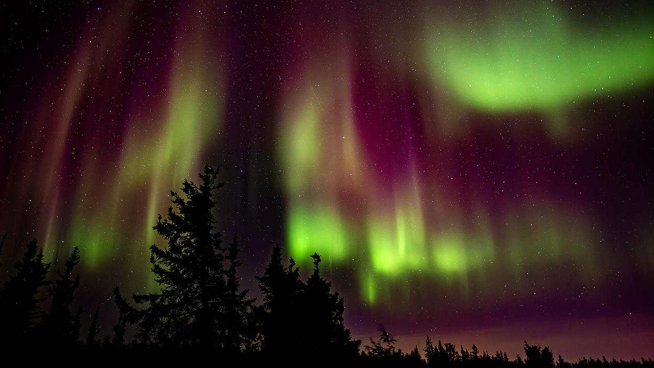 Aurora