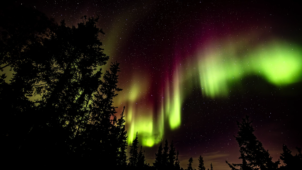 Aurora