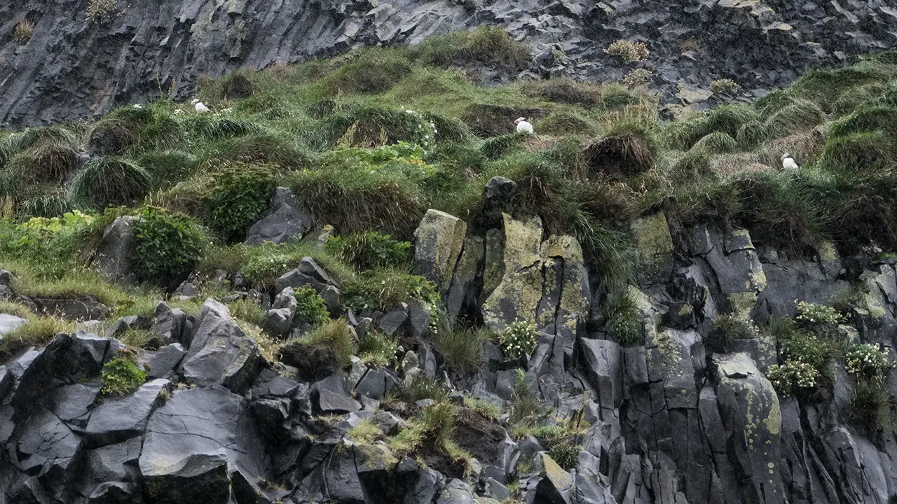 Reynisfjara