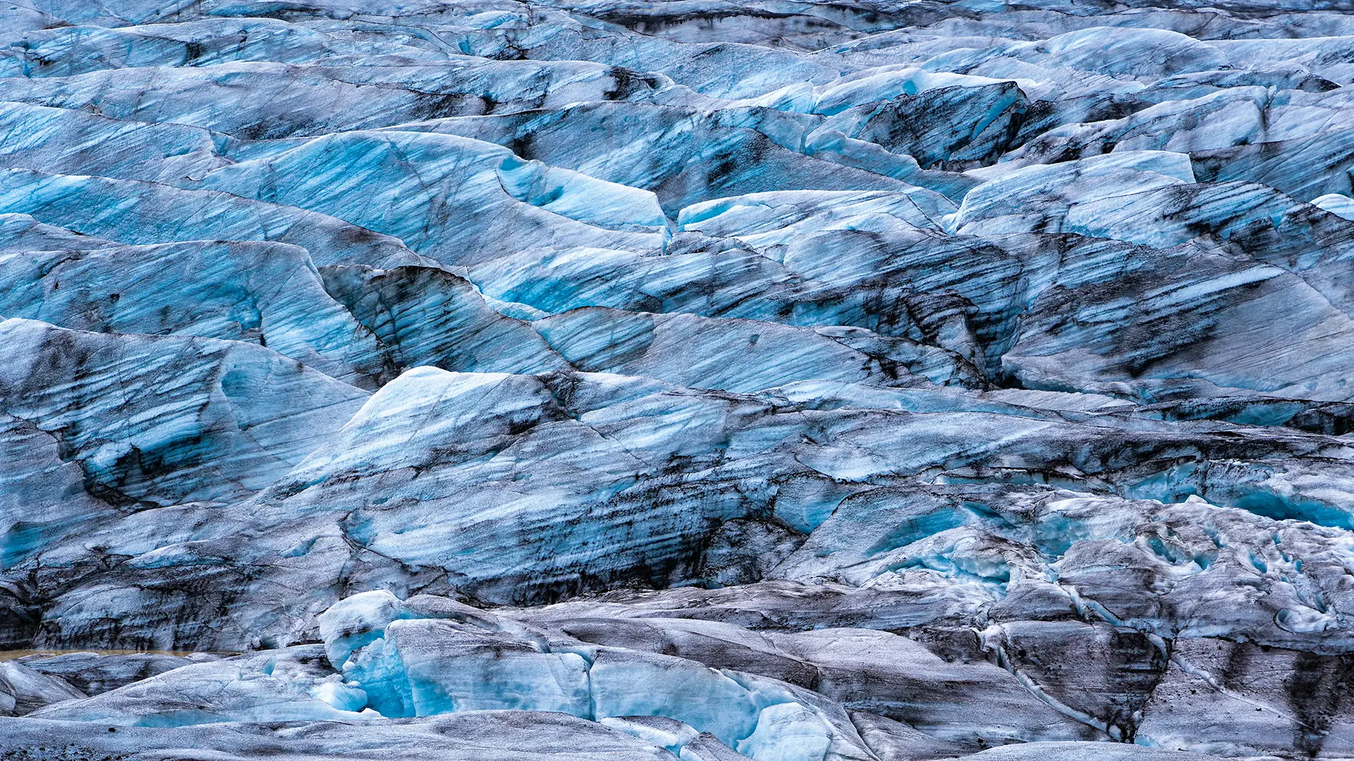 Svínafellsjökull