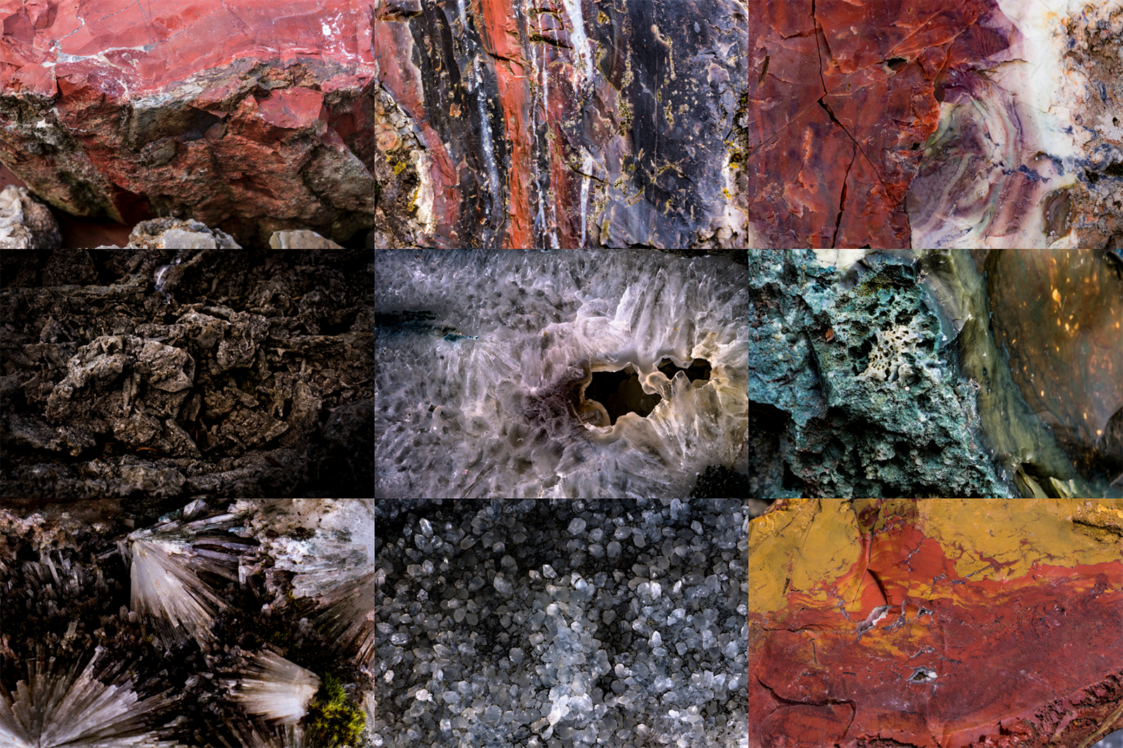 Petra's Collection