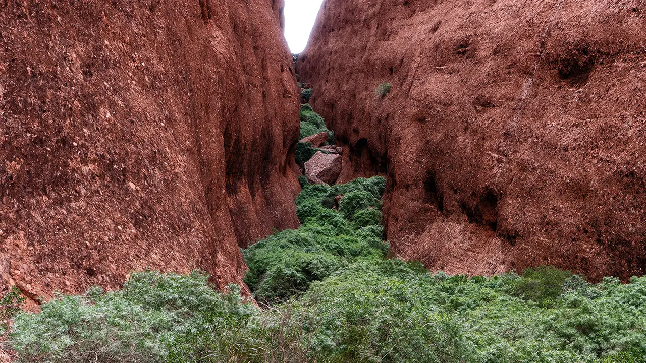 Kata Tjuta Waḻpa Gorge