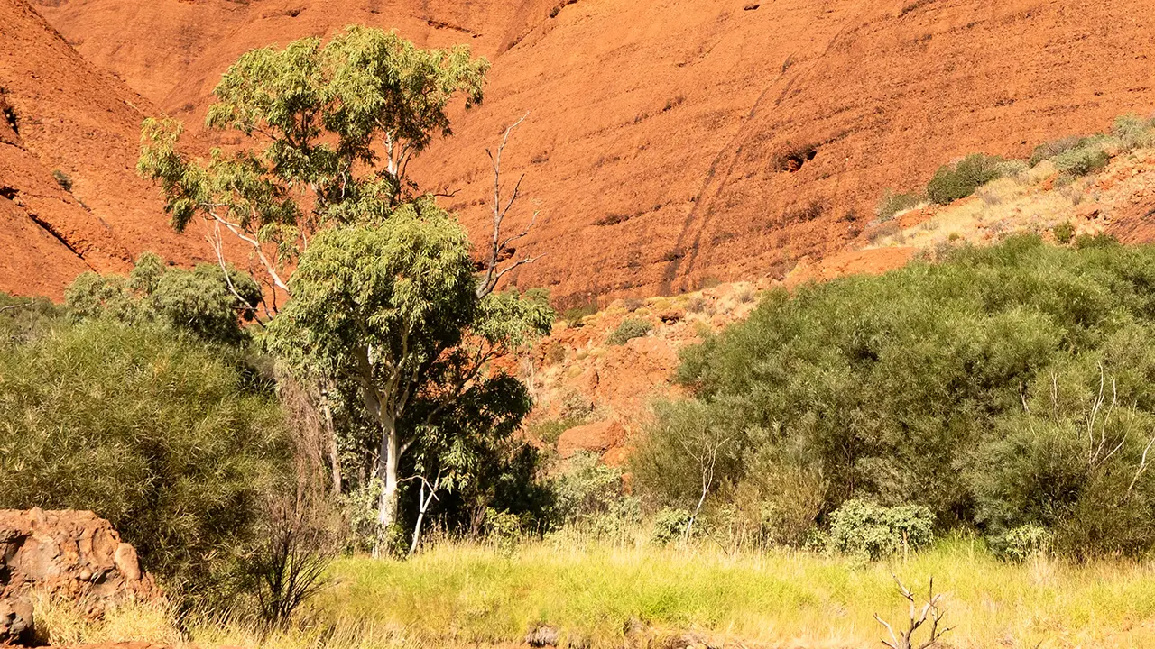 Kata Tjuta Valley of the Winds