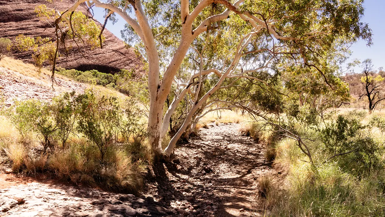 Kata Tjuta Valley of the Winds