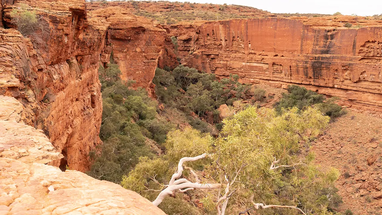 Kings Canyon