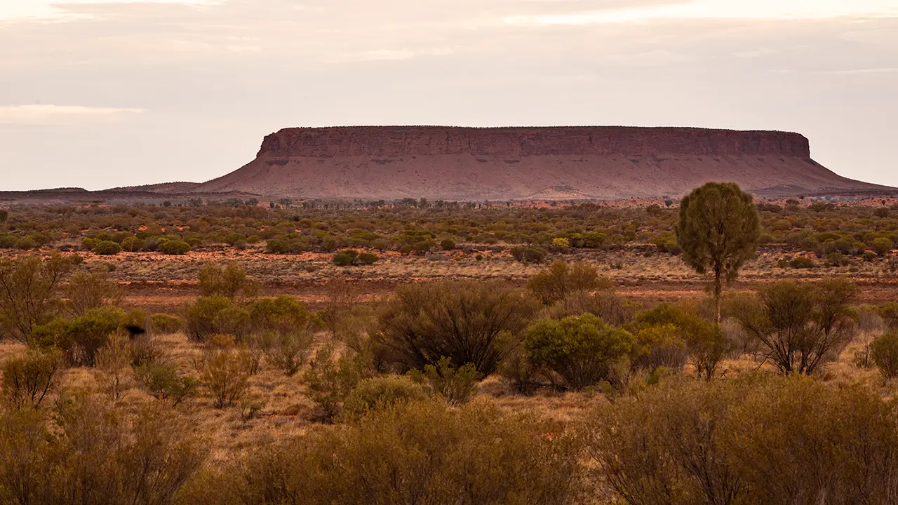 Mount Conner 